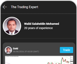 El experto en trading